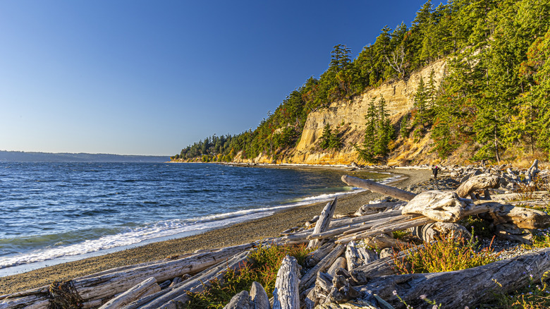 Beach scenery on Camano Island