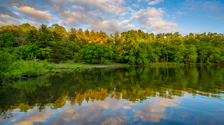 Trees reflected in water of Lake Needwood in Rock Creek Regional Park