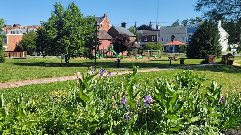 Greenery at park in Berryville, Virginia
