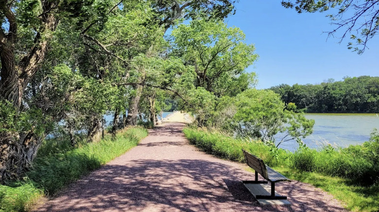 A forested walking trail with a bench between two bodies of water.