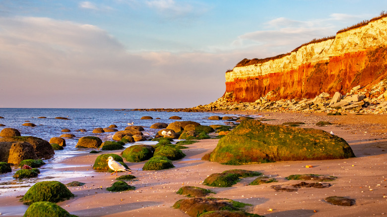 The striped cliffs along the beach in Hunstanton, England