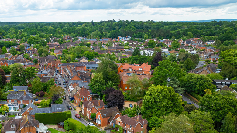 Aerial view of Brockenhurst in New Forest National Park