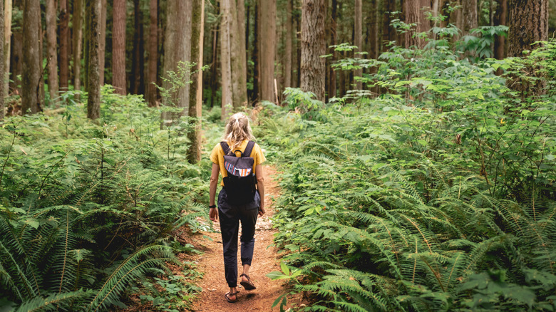 Woman hikes through forest in Washington State