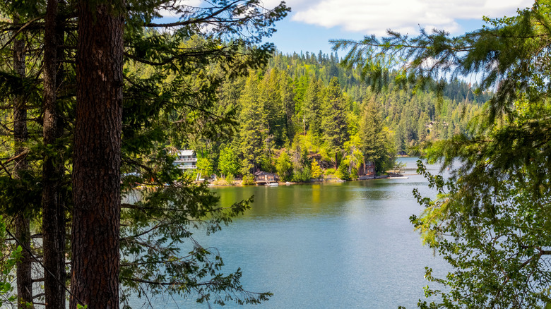 Newman Lake in Washington
