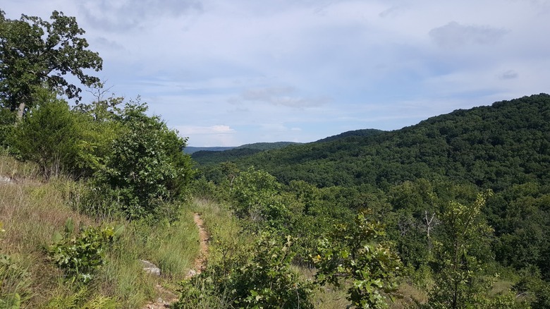 A trail winds over a mountain covered in green trees in the Ozarks.