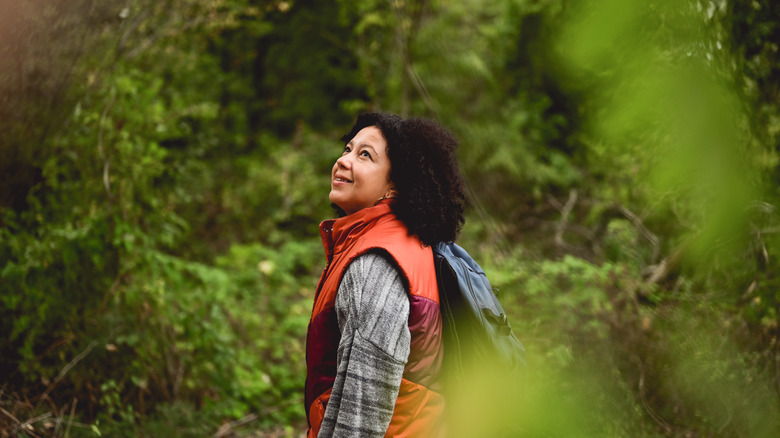 A hiker in a hazard orange vest admiring the trees in a state forest.