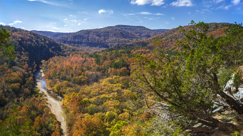 picture from a trail of the gorgeous Ozark Mountains