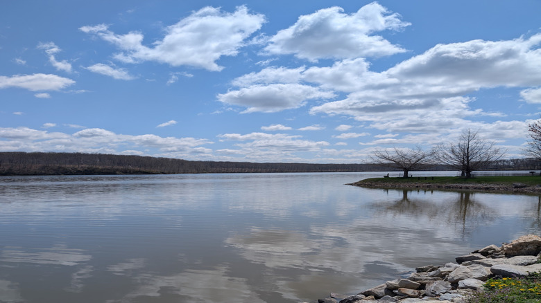 Lake Lou Yaeger's shoreline