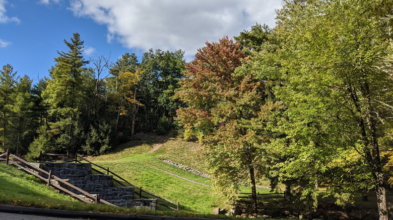 A dirt trail leading into the woods above the Dingley Dell Dam in Brimfield State Forest in Brimfield, Massachusetts
