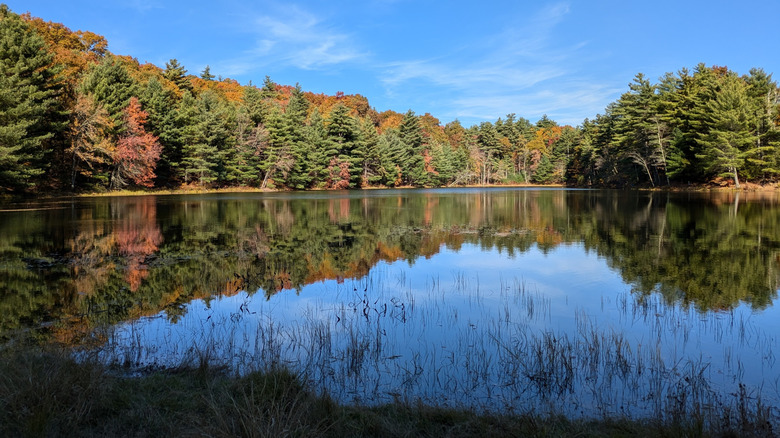 Dean Pond, with fall foliage reflecting off its water, in Brimfield State Forest in Brimfield, Massachusetts