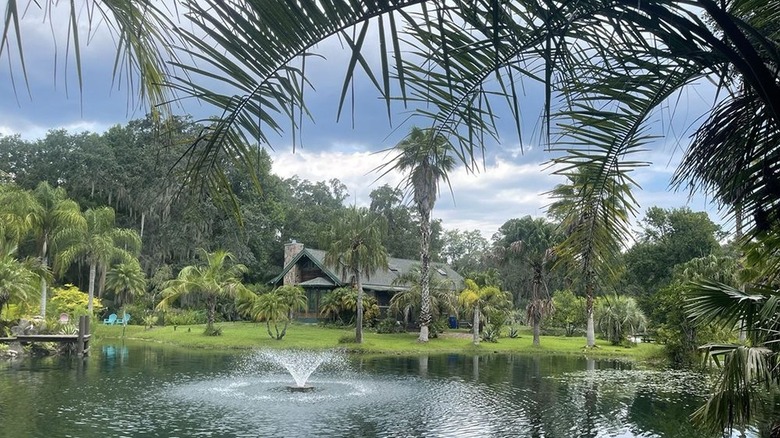 A wideshot of the St. Johns Botanical Garden and Nature Preserve