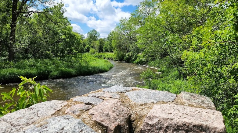 Views from a large boulder overlooking a lush wooded area, along the banks of the Buffalo River in Minnesota