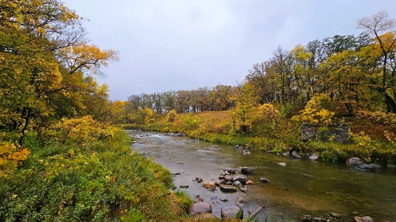 A scenic river with a rocky bed surrounded by colorful foliage at Buffalo River State Park in Minnesota