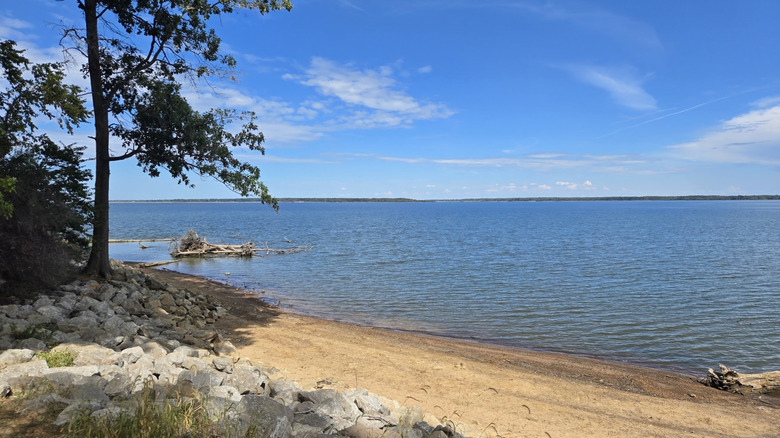 Small sandy beach with calm lake water and shady trees at Wayne Fitzgerrell State Recreation Area