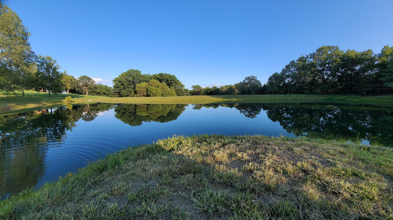 Grassy lawns and trees surrounding a lake in California, Missouri