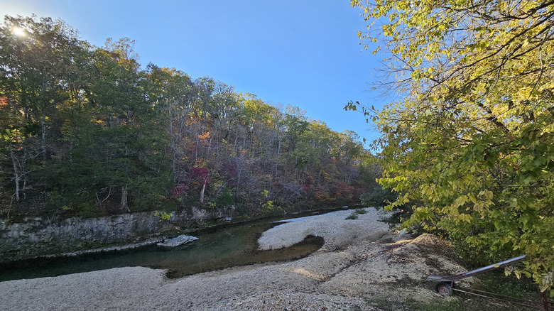 creekside view of trees and water in Little Indian Creek Conservation Area