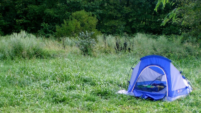 blue tent at camping site in Little Indian Creek Conservation Area