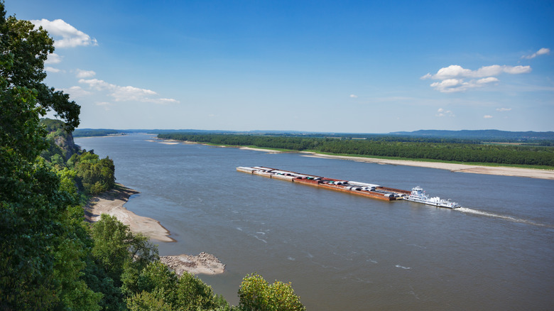 View of the Mississippi River in Trail of Tears State Park