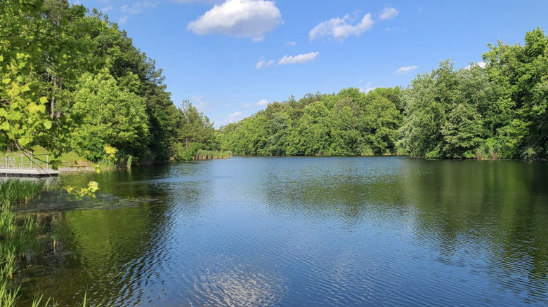 A clear lake surrounded by green trees at Sahara Woods State Recreation Area.
