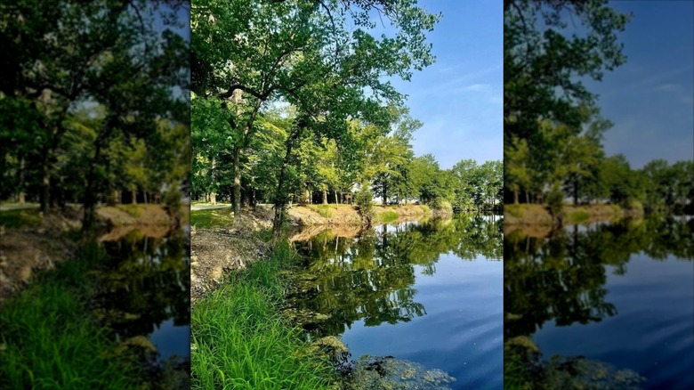 green trees reflected in lake at Pyramid State Recreation Area