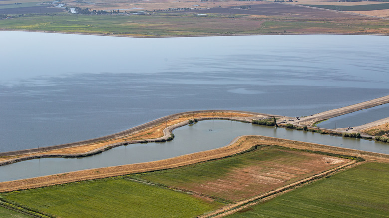 A view of Clifton Court Forebay in California