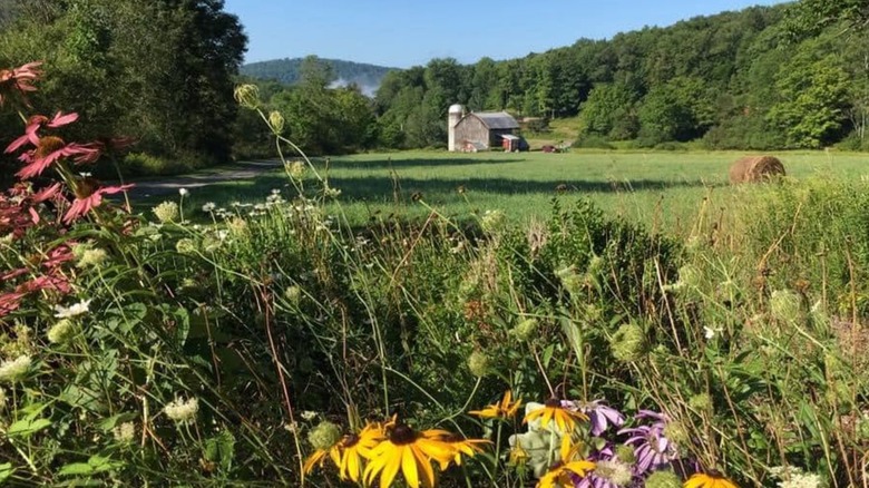 A picturesque view of a barn surrounded by flow fields in Deposit in Delaware County, New York