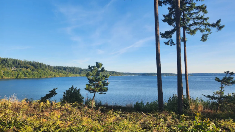 view from the Suquamish Clearwater Casino out towards the waters of agate passage, overlooking a freshly groomed bright green lawn