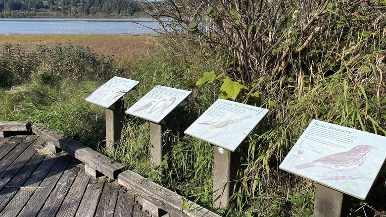 Interpretive signs along a marsh boardwalk at Grays Harbor National Wildlife Refuge in Hoquiam, Washington