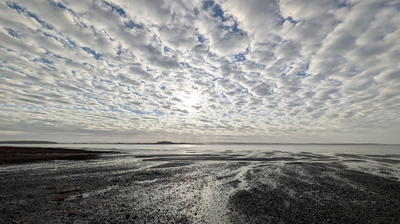 Expansive tidal flats at Grays Harbor National Wildlife Refuge in Hoquiam, Washington, beneath a dramatic sky filled with textured clouds
