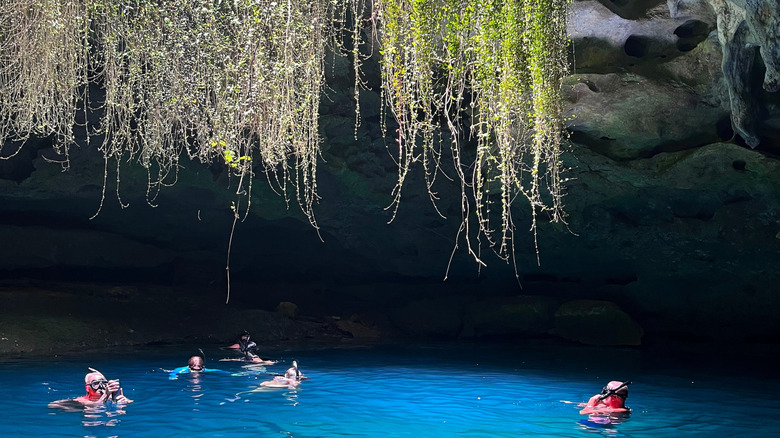 Snorkeling in freshwater spring cave