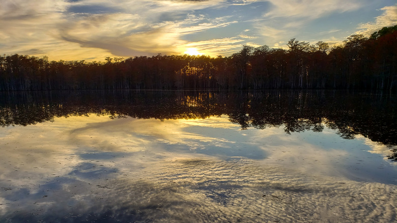 Sunset over pond in Pine Log State Forest in Ebro, Florida