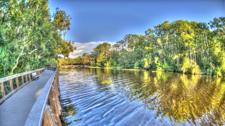 Boardwalk along the water at Lake Tarpon, Florida