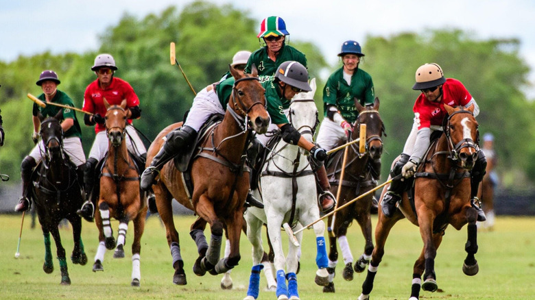 A herd of polo players fight for the ball in dramatic fashion on one of Sarasota Polo's green fields in Lakewood Ranch, Florida