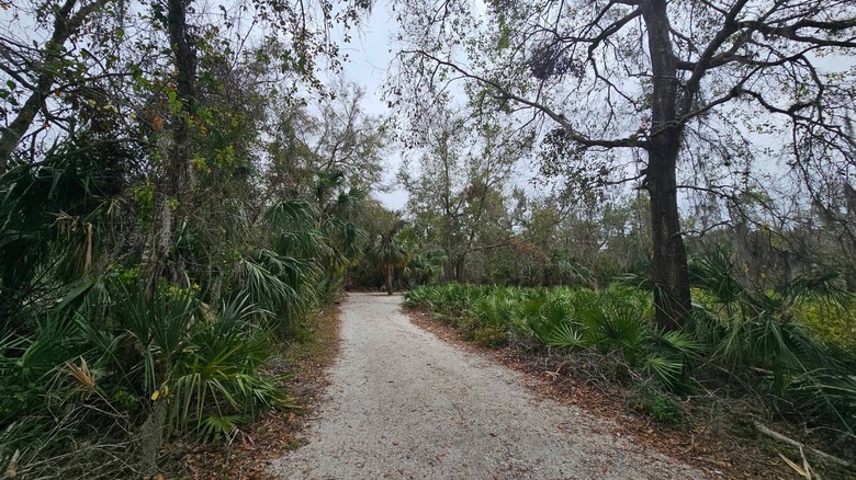 Gravel hiking trail surrounded by greenery in Rye Preserve