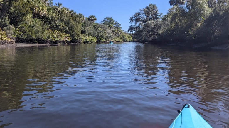 Paddling the Manatee River at Fort Hamer Park