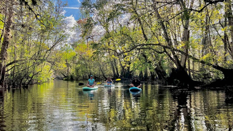 Paddling on the water in Potts Preserve.