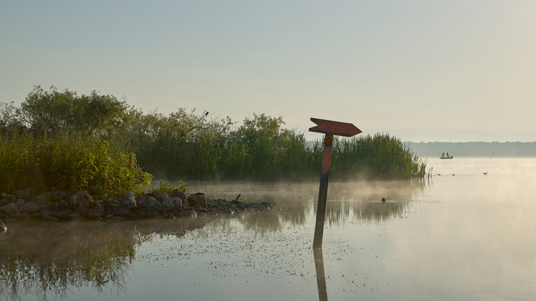 Landscape photo of Lake Panasoffkee Wildlife Management Area in Florida.