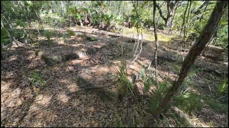 Ruins of Centralia, Florida