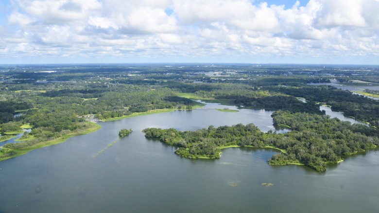 Edward Medard Conservation Park in Florida
