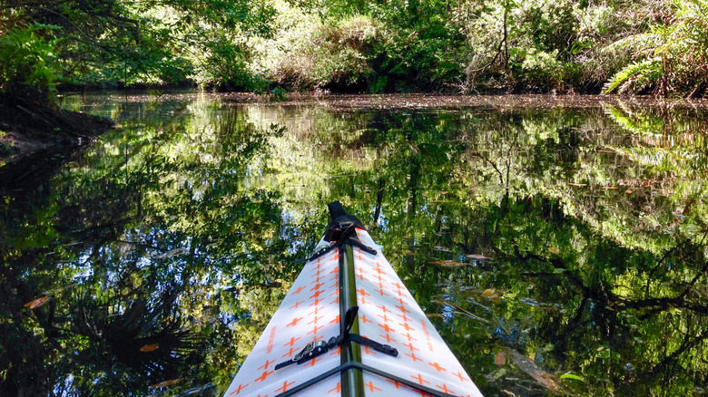 kayaking in port richey florida