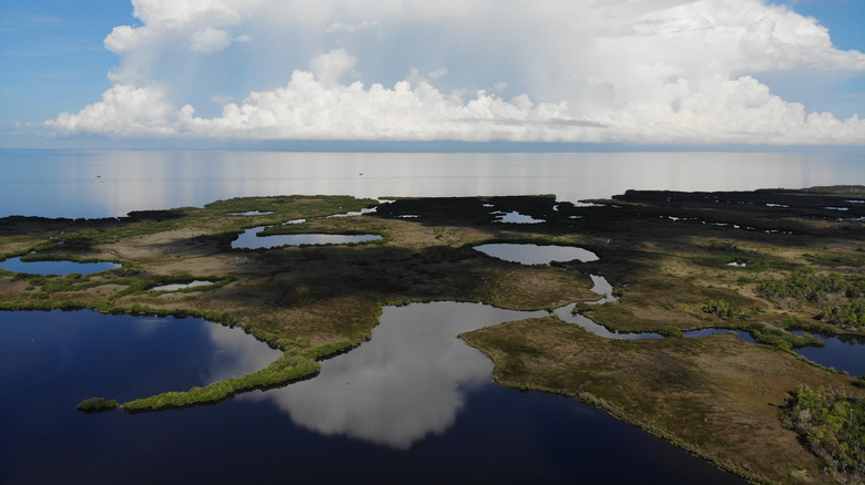 Werner-Boyce Salt Springs State Park