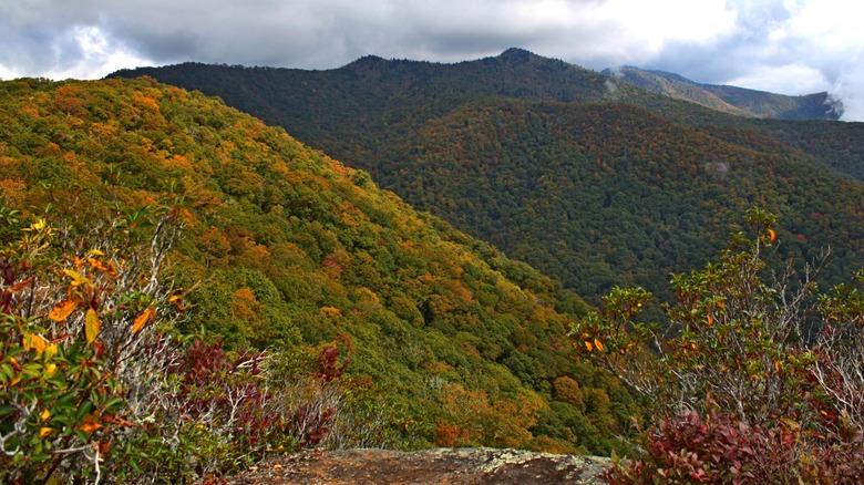 Blue Ridge mountain landscape in Sylva North Carolina's Pinnacle Park