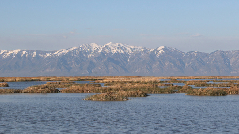 Mountains over the river at Bear River Migratory Bird Center in Brigham City, Utah