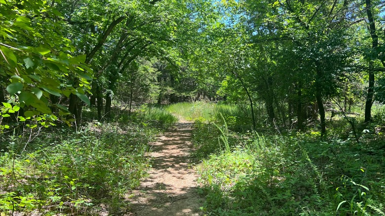 Lush hiking trail shaded by greenery at Elk City State Park, Kansas