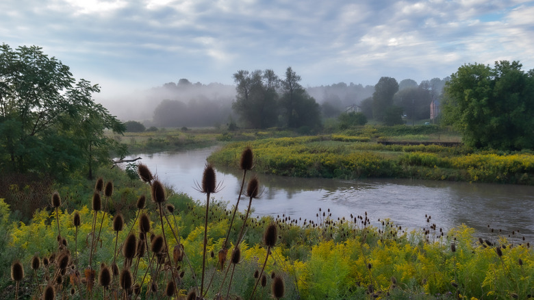 Nokiidaa Trail overlooking a misty river scene near Newmarket, Ontario