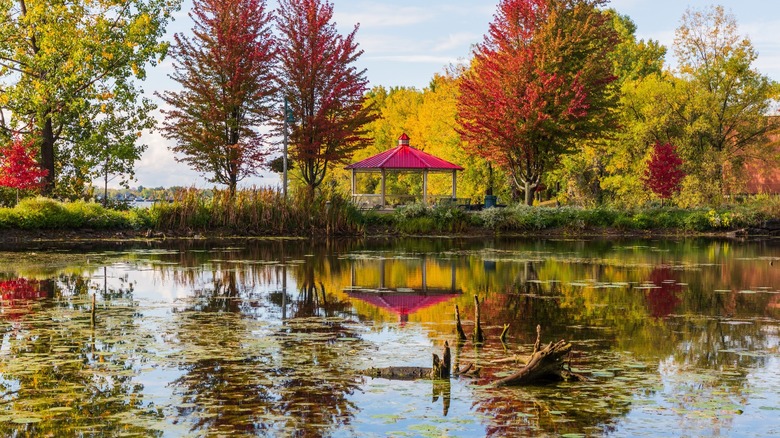 pond in a park with a gazebo surrounded by trees with fall colors