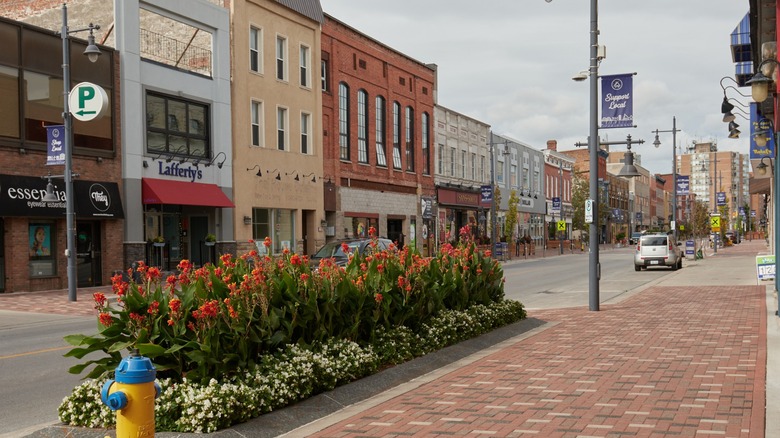 downtown Belleville shopping district lined with flowers