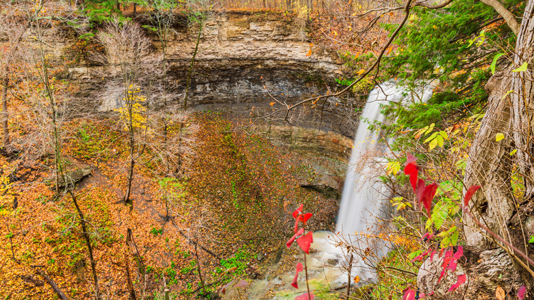 Felker's Falls waterfall surrounded by fall foliage
