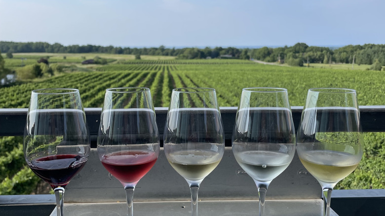 Wine tasting glasses overlooking vineyards at Flat Rock Cellars