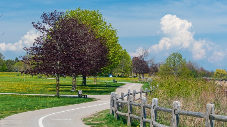 Walkway in Ajax waterfront park on sunny day, Ontario, Canada